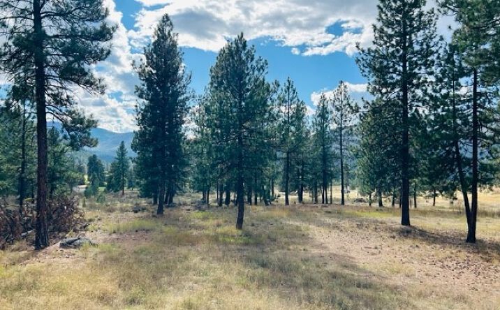 Pictures of Land property located at Nhn River Road W, Plains, MT 59859 for sales - image #1