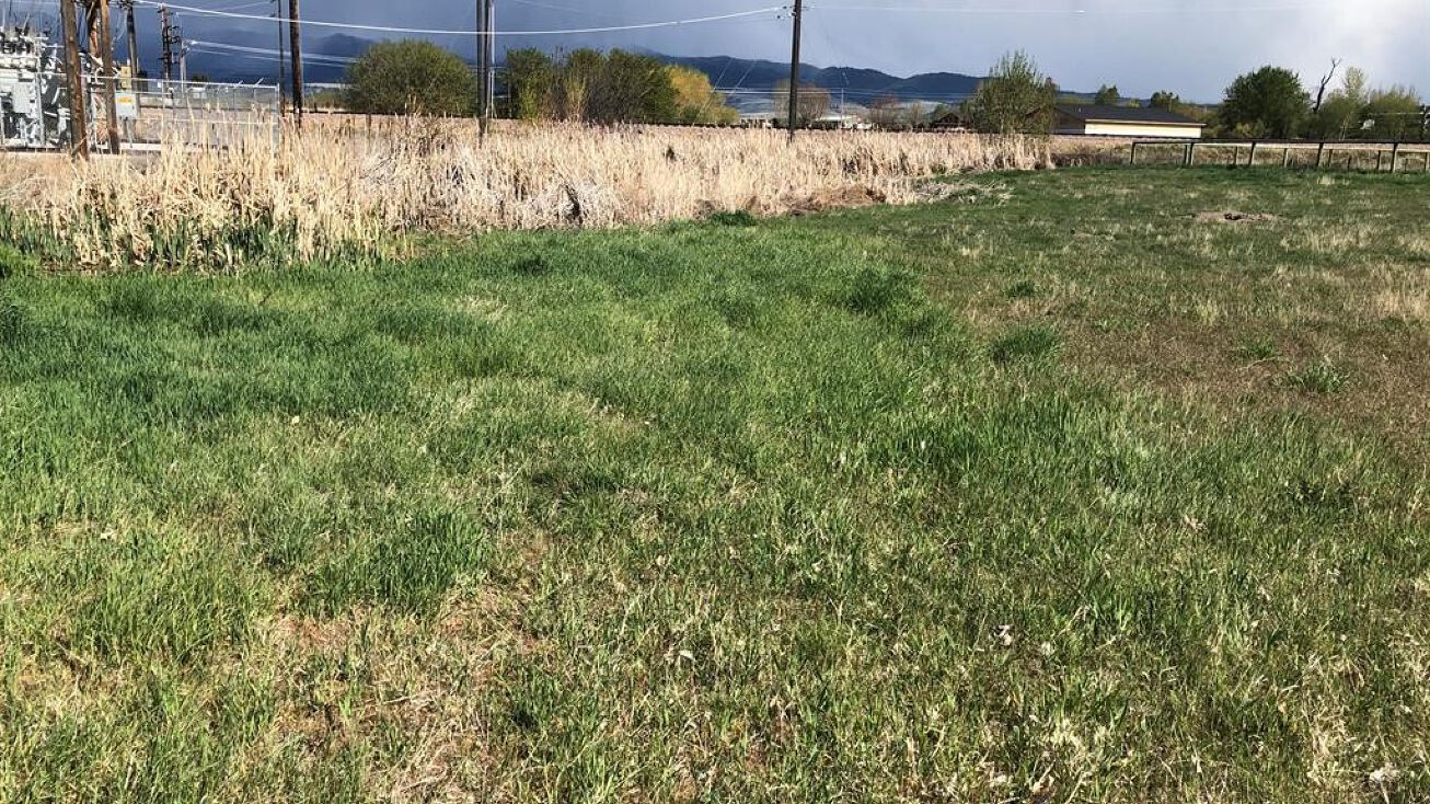 479 Willow Creek Road, Corvallis, MT 59828