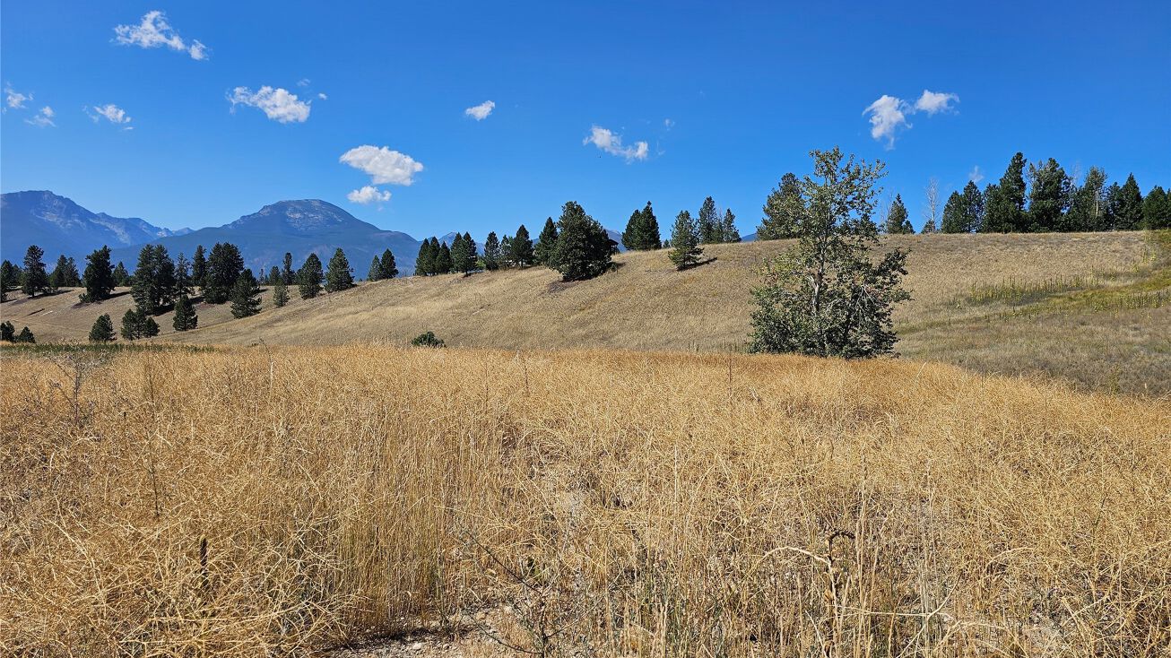 1173 Rugged Ridge Road, Stevensville, MT 59870