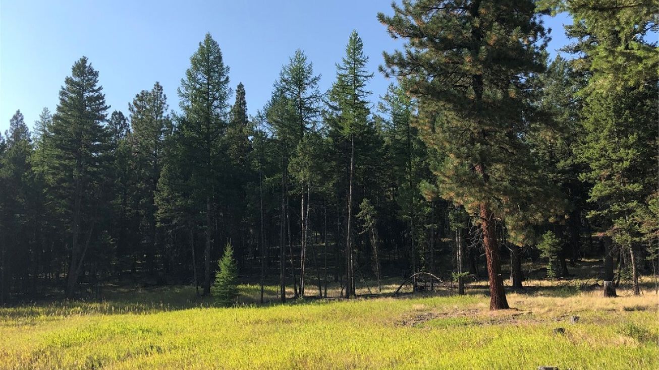 NHN Sickler Creek Road, Marion, MT 59925 | Crexi.com