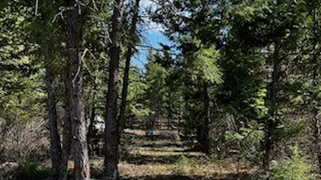 23723 Messina Drive, Bonner, MT 59823