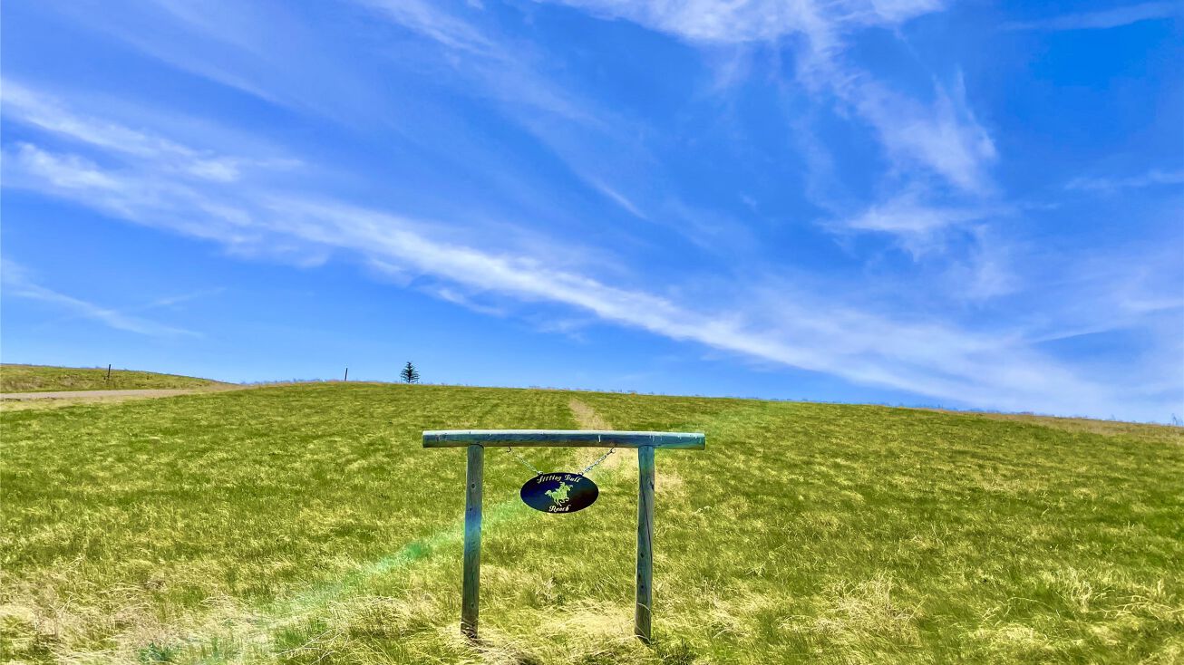 TBD Rainbow Ridge Road, Belt, MT 59412