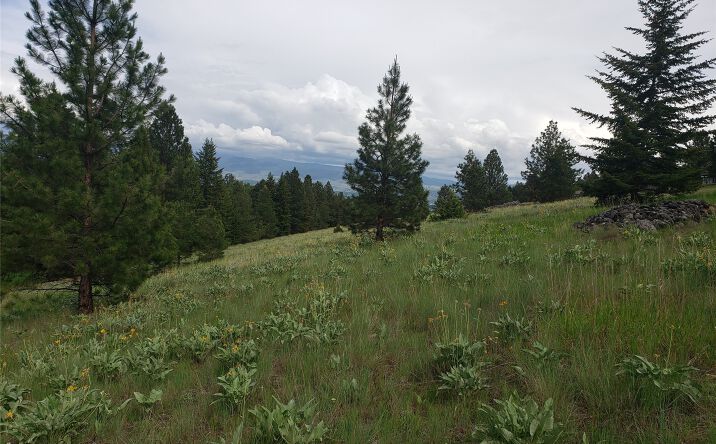 Pictures of Land property located at Nhn Oertli Lane, Hamilton, MT 59840 for sales - image #1