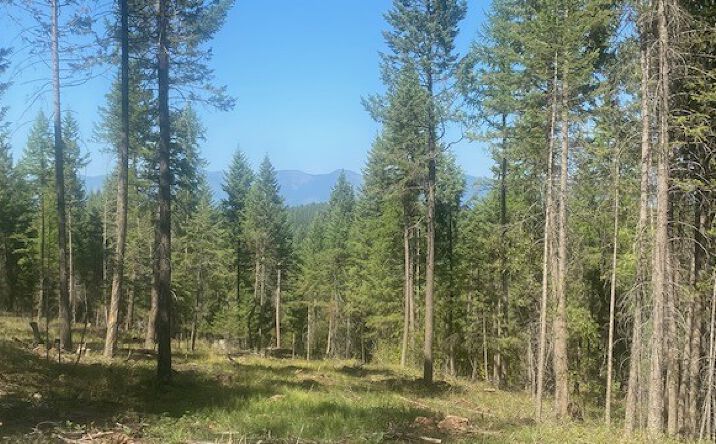 Pictures of Land property located at NHN Soaring Eagle Drive, Whitefish, MT 59937 for sales - image #1