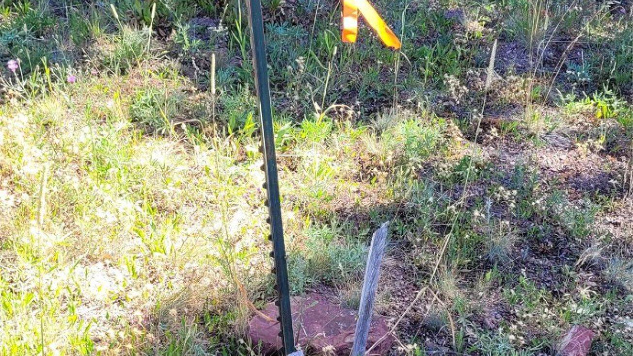 16 Shakopee, Anaconda, MT 59711