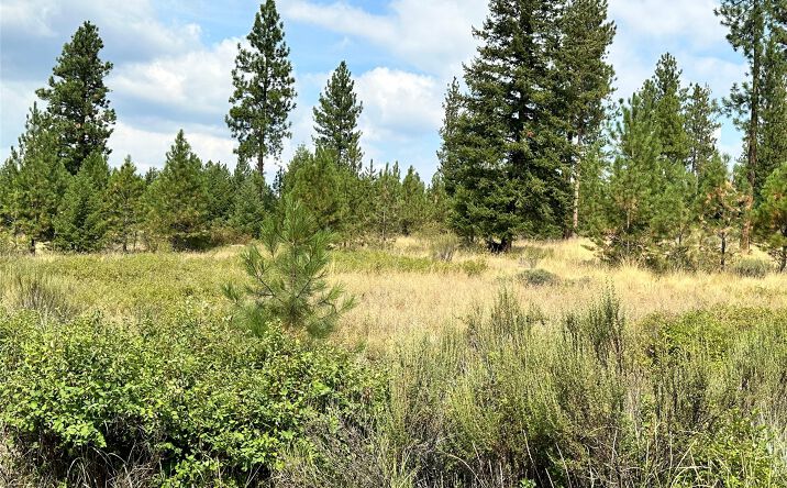 Pictures of Land property located at 39 Bighorn Bluff Loop, Plains, MT 59859 for sales - image #1