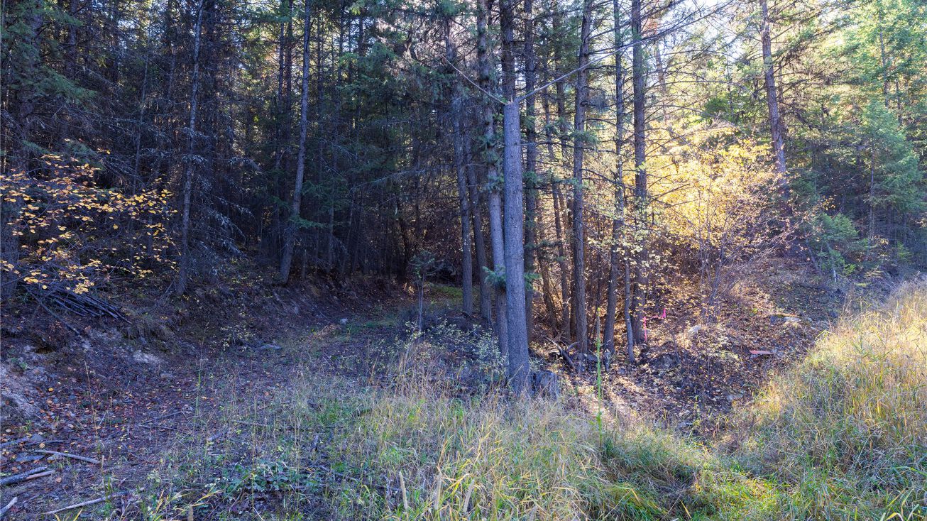 10 Acres Gut Creek Road, Rexford, MT 59930