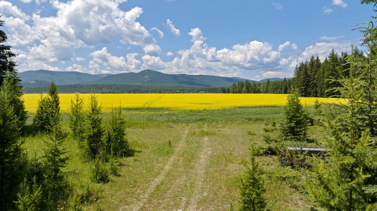 685 Lodgepole Road, Whitefish, MT 59937