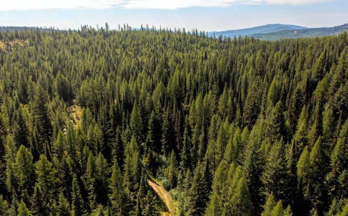 Pictures of Land property located at NHN North Beaver Creek, Trego, MT 59934 for sales - image #1