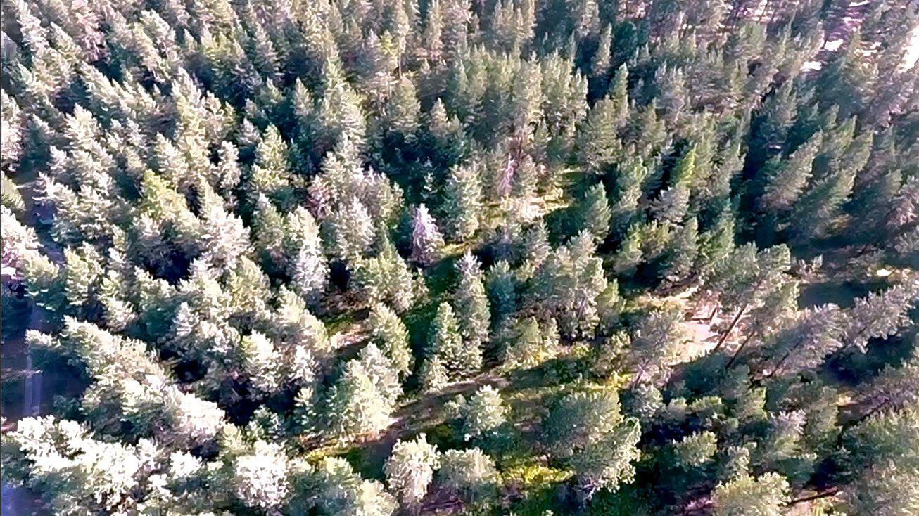 Lot 25 Park Circle Drive, Polson, MT 59860