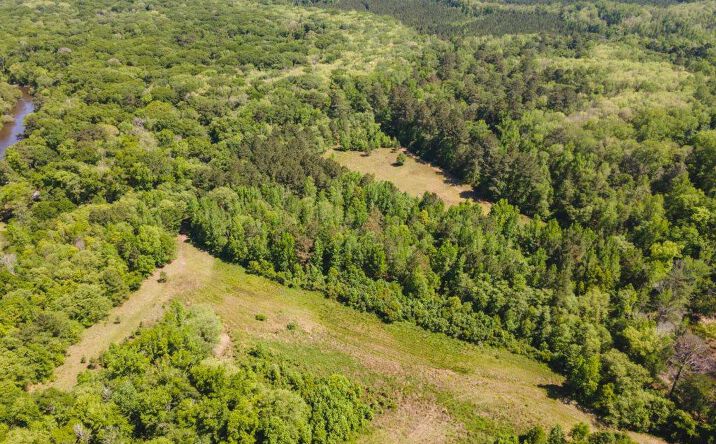 Pictures of Land property located at Old River Rd. S, Brooklet, GA 30415 for sales - image #1