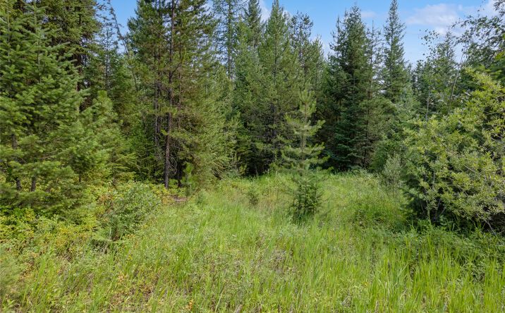 Nhn Cliff Creek Road, Whitefish, MT 59937 | Crexi.com