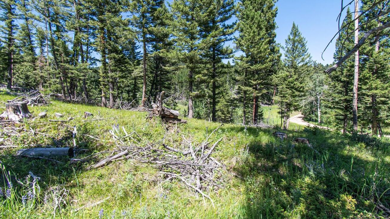 TBD North Fork Travis Road, Clancy, MT 59634