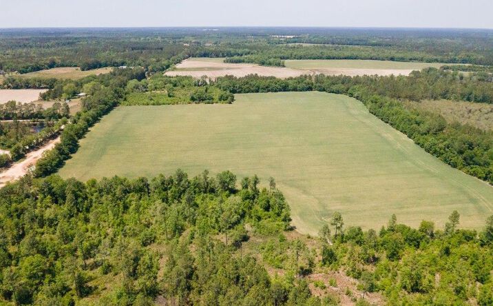 Pictures of Land property located at Old River Rd. S, Brooklet, GA 30415 for sales - image #1