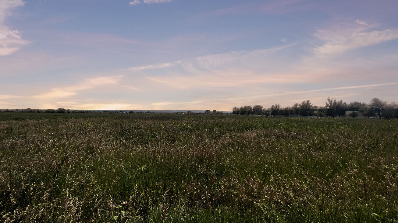 TBD Sweetgrass Drive, Billings, MT 59106