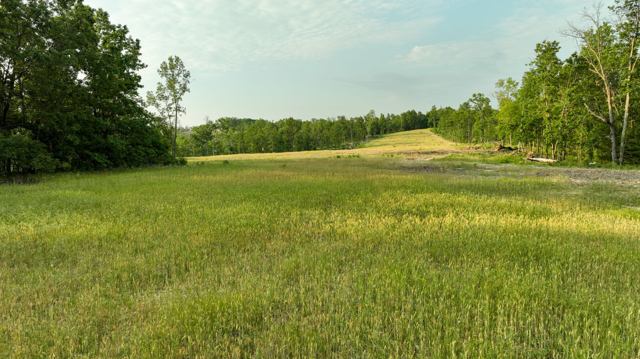 TBD Berry Road, Cabool, MO 65689