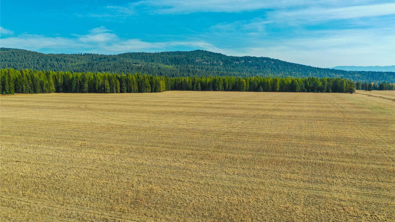 685 Lodgepole Road Tract 1 COS 5956, Whitefish, MT 59937