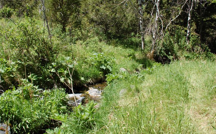 Pictures of Land property located at Multiple Blocks, Virginia City, MT 59755 for sales - image #1