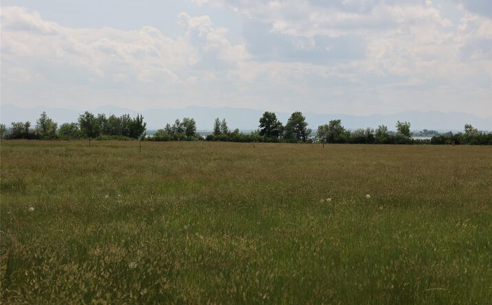 Pictures of Land property located at 30 Pondera Avenue, Valier, MT 59486 for sales - image #1