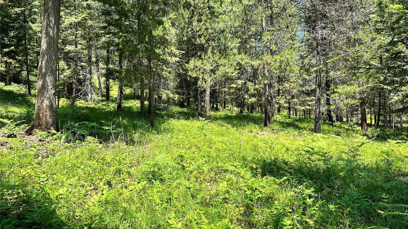 NHN Graves Creek Loop, Thompson Falls, MT 59873