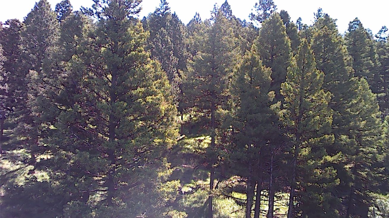 301 Elkhorn Road, Seeley Lake, MT 59868