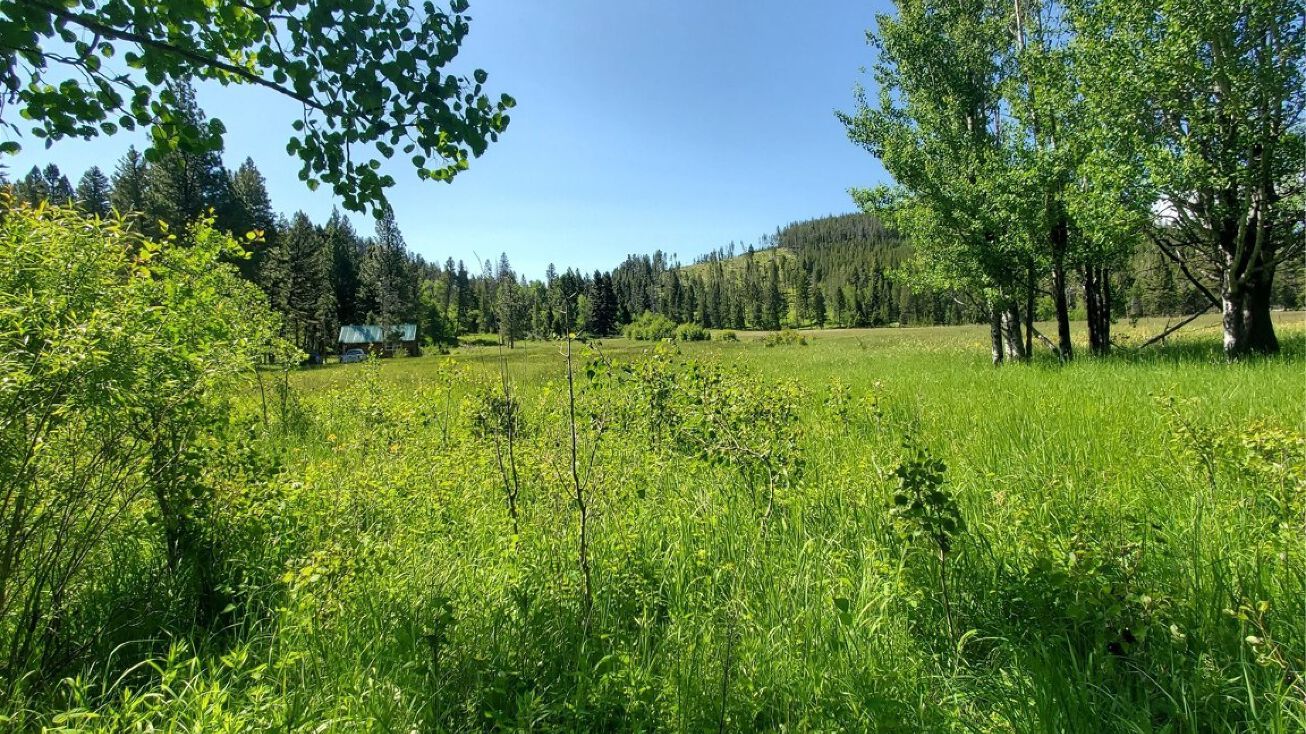 Parcel 1 Bear Gulch, Lincoln, MT 59639