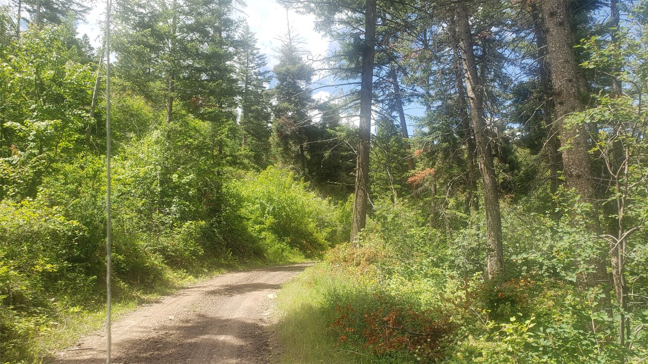 lot 20 Arlee Pines, Arlee, MT 59821