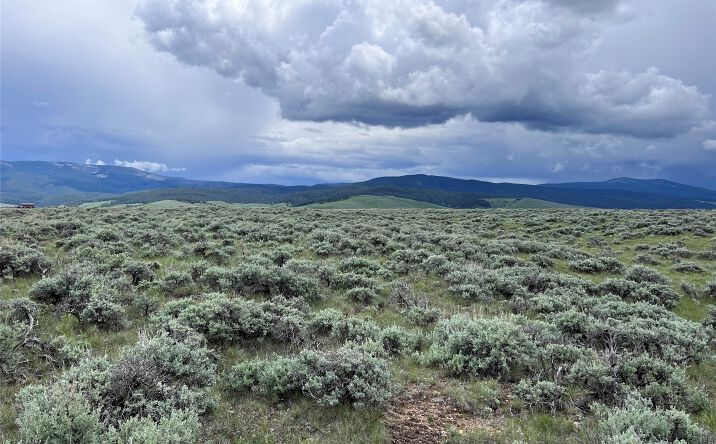 Pictures of Land property located at Tract 35 Monte Drive, Wisdom, MT 59761 for sales - image #1