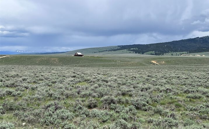 Pictures of Land property located at Tract 10 Steel Creek Road, Wisdom, MT 59761 for sales - image #1