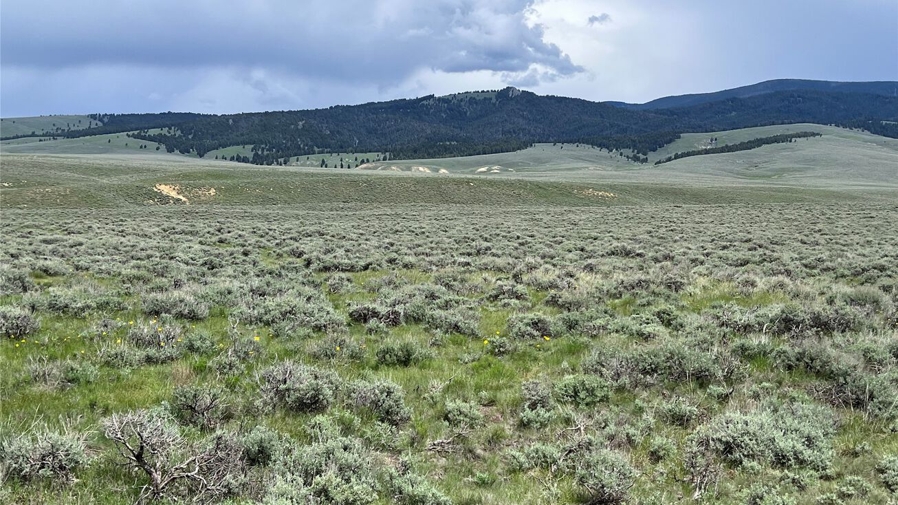 Tract 10 Steel Creek Road, Wisdom, MT 59761
