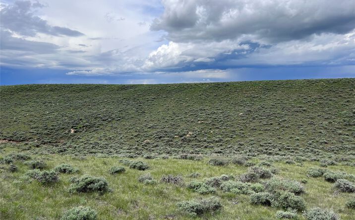 Pictures of Land property located at Tract 11 Steel Creek Road, Wisdom, MT 59761 for sales - image #1