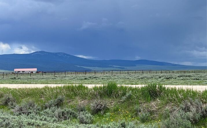 Pictures of Land property located at Tract 21 Steel Creek Road, Wisdom, MT 59761 for sales - image #1