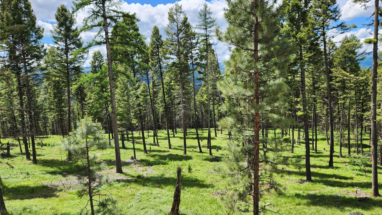 581 Elkhorn Road, Seeley Lake, MT 59868