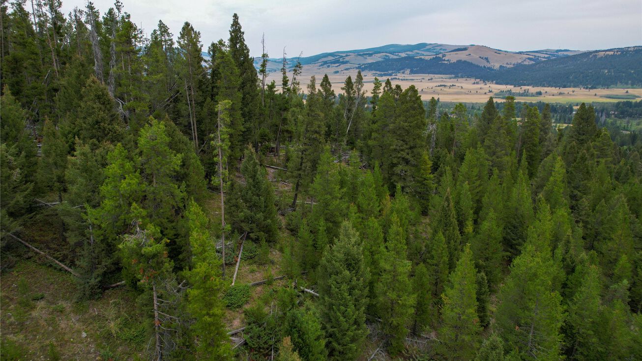 NHN Old Corral Lane, Elliston, MT 59728