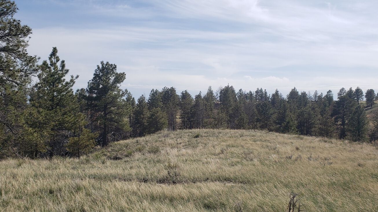 NHN Tin Can, MT 59087