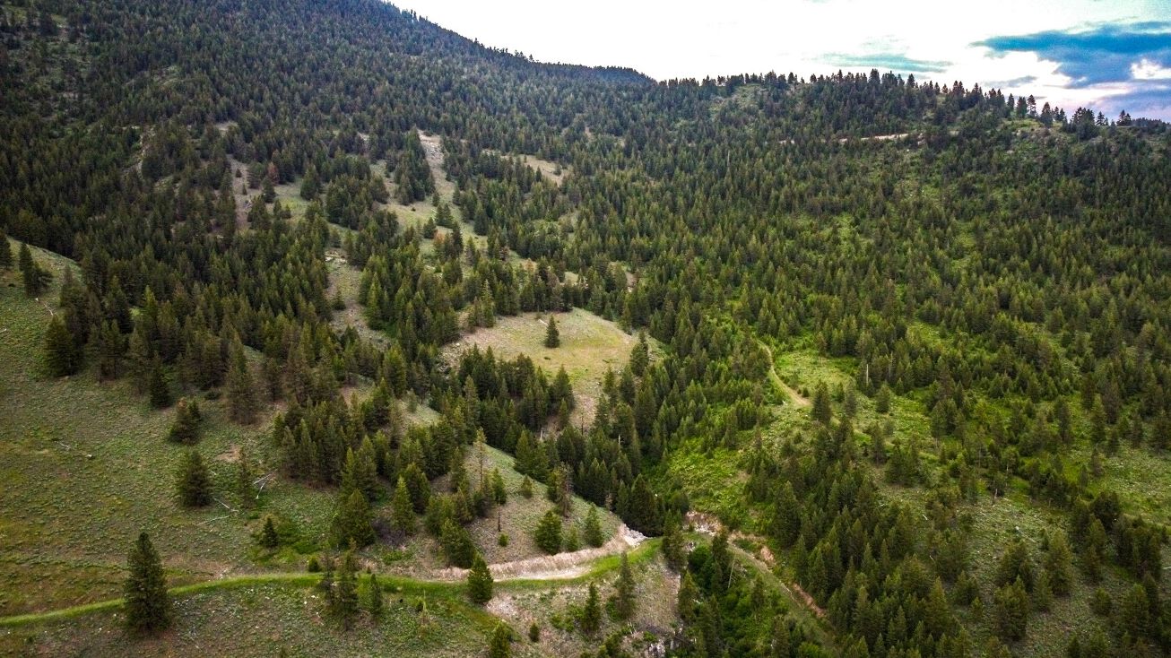 NHN County Line, Alberton, MT 59820