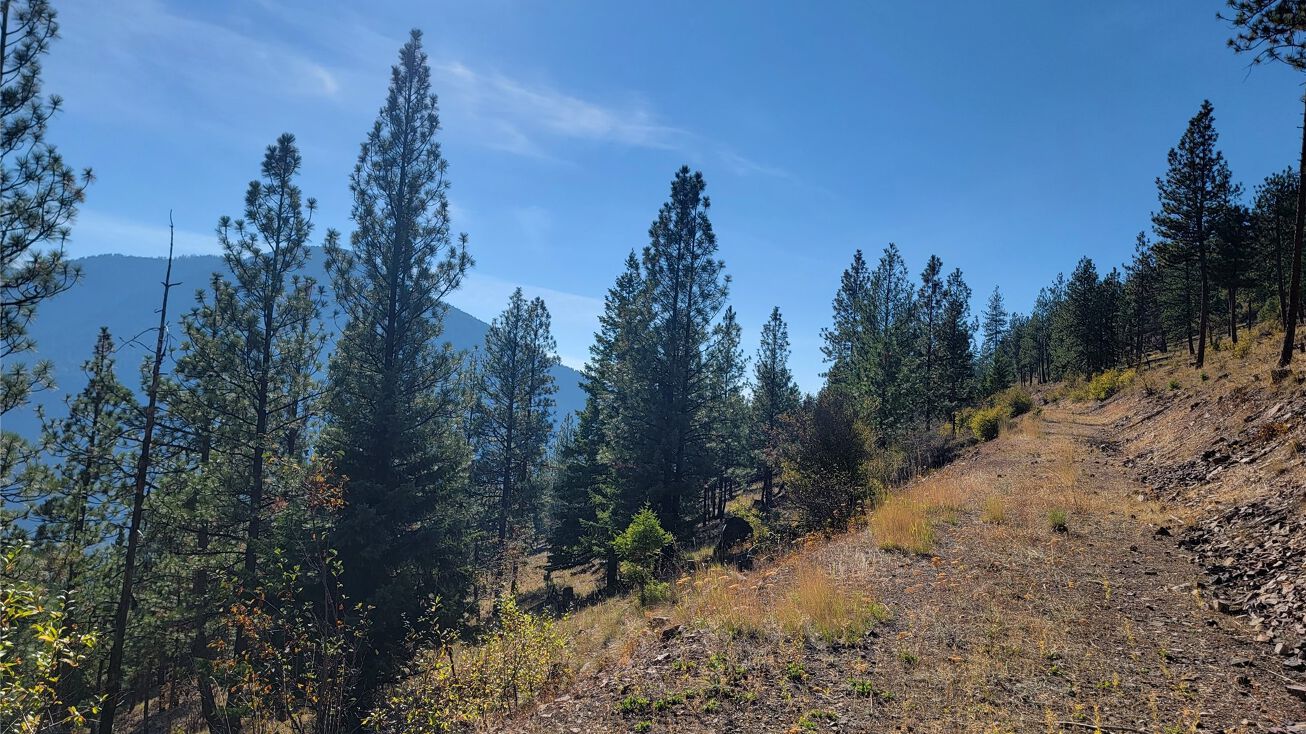 2 Mountain Creek Road, Alberton, MT 59820