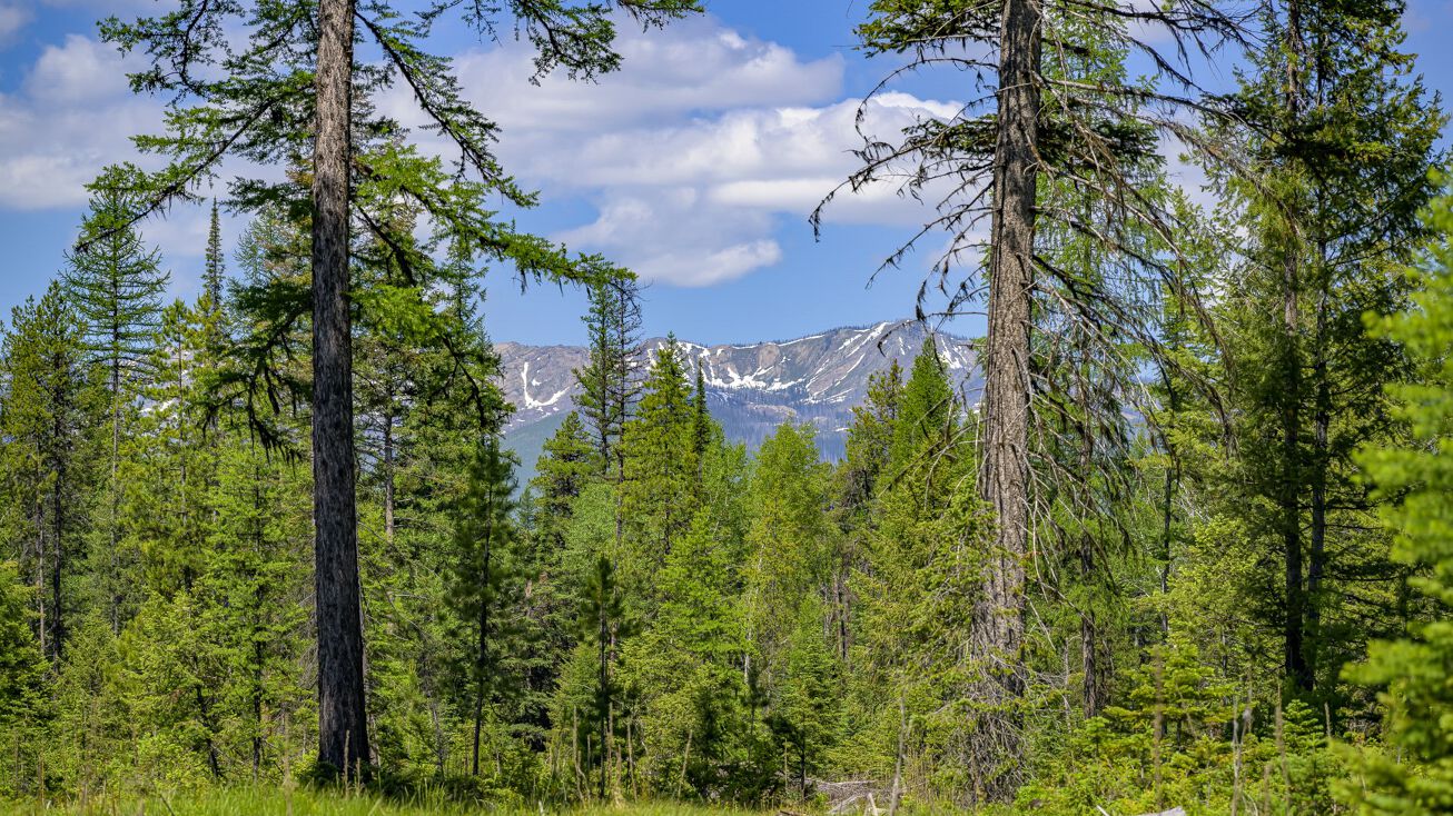 NHN Lindbergh Lake Road, Condon, MT 59826