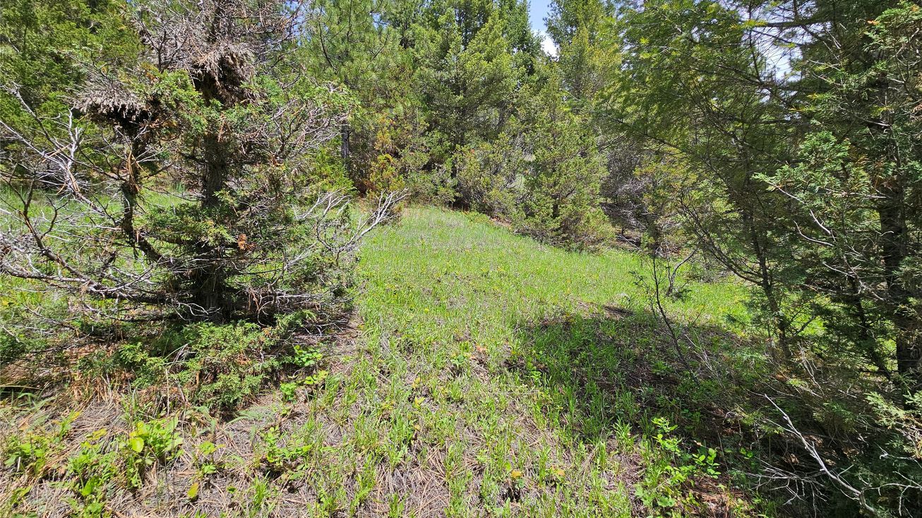 101 Tower Road, Philipsburg, MT 59858