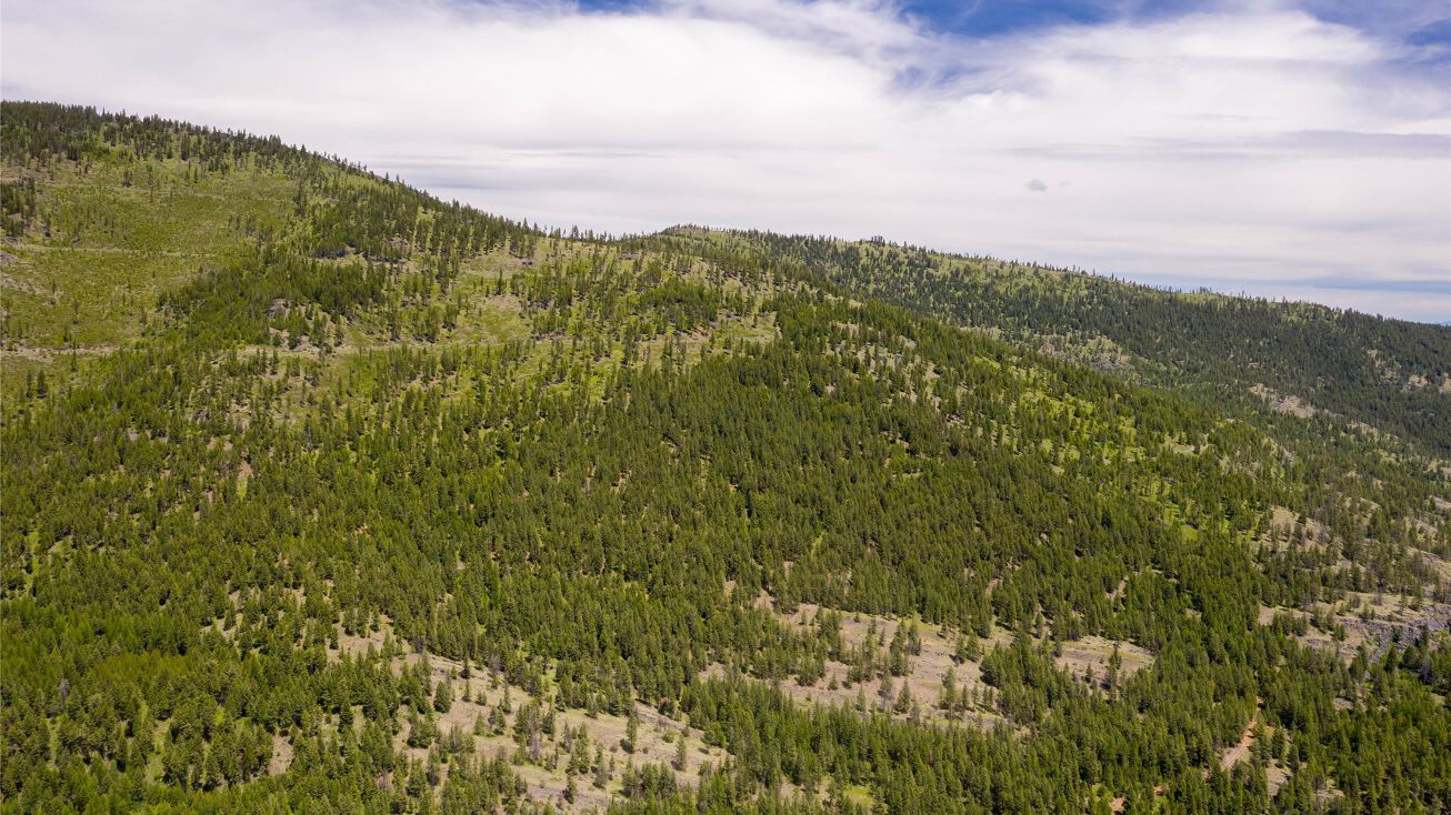 Nhn Powder Horn Lane Tr 7, Marion, MT 59925