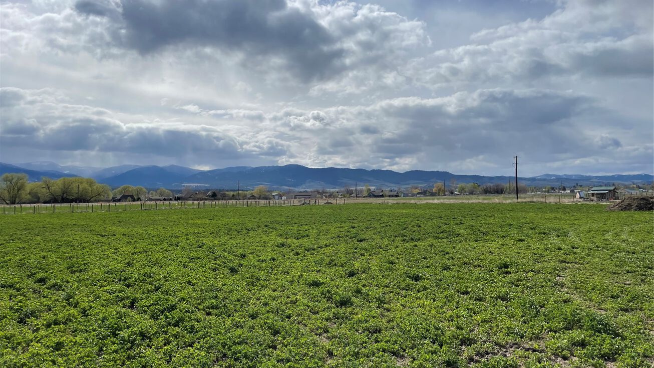 NHN Brothers Way, Corvallis, MT 59828