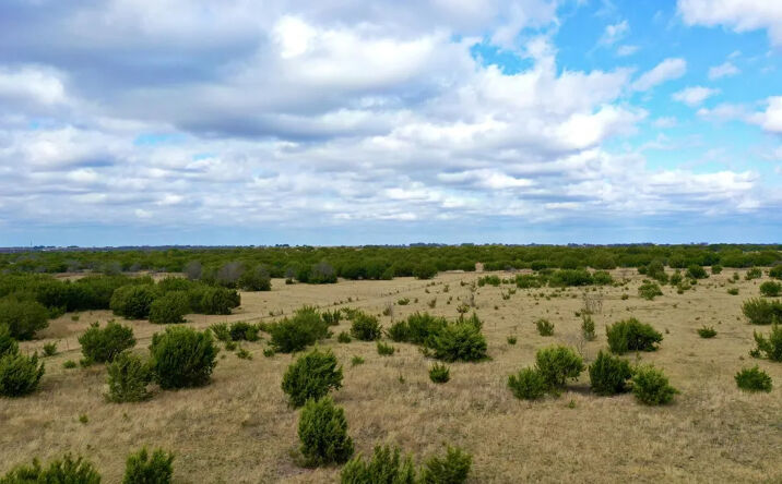 Pictures of Land property located at 1588 County Road 118, Carlton, TX 76436 for sales - image #1