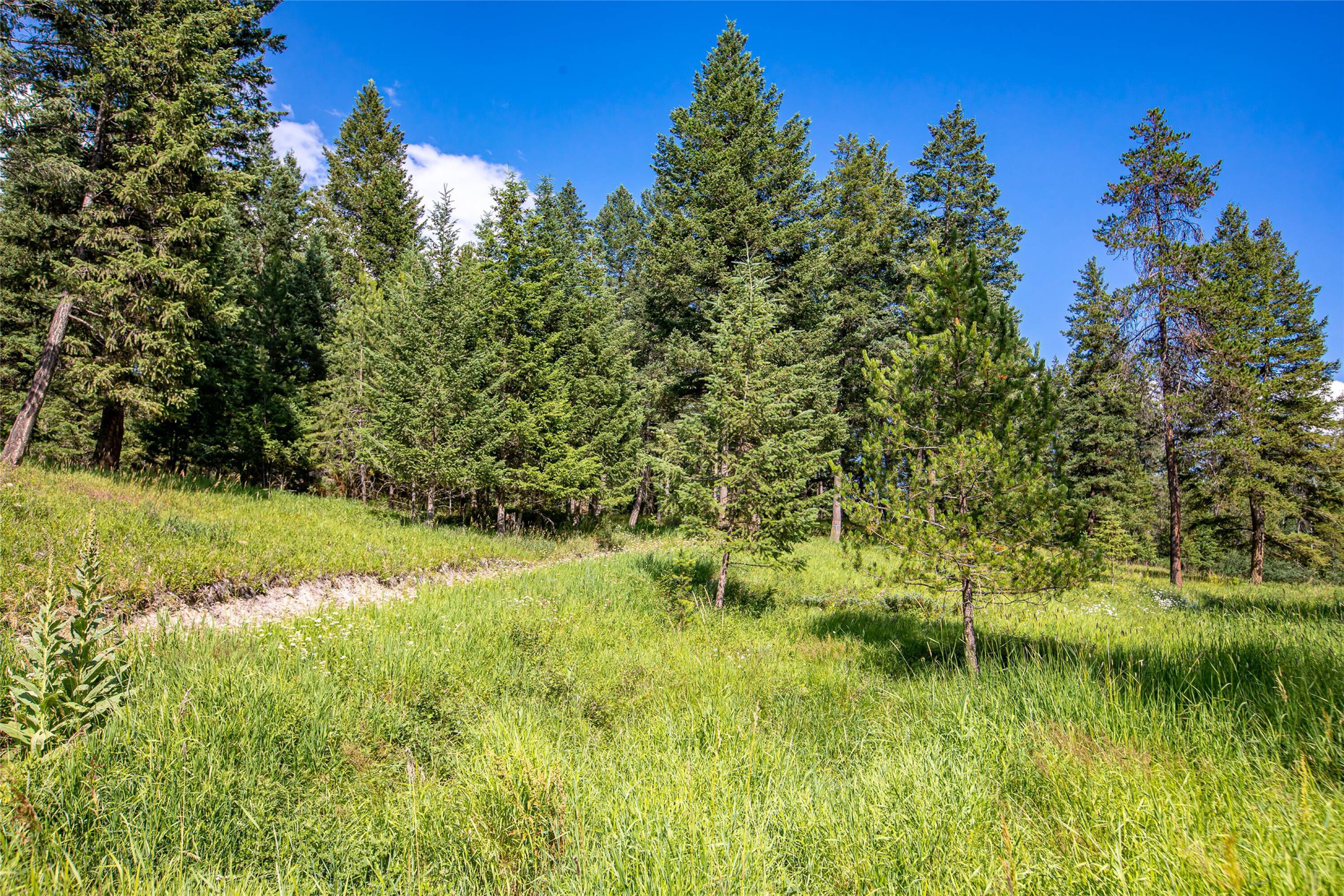 115 Autumn Ct, Whitefish, MT 59937