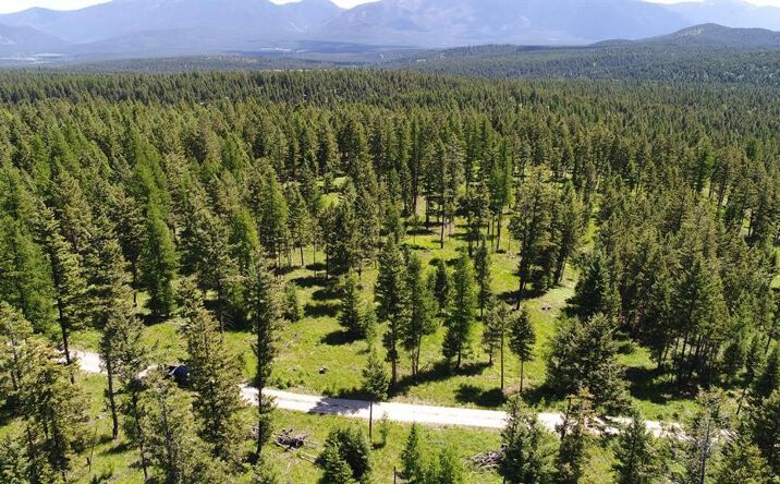 Pictures of Land property located at Lot 1B Meadow Springs, Fortine, MT 59918 for sales - image #1