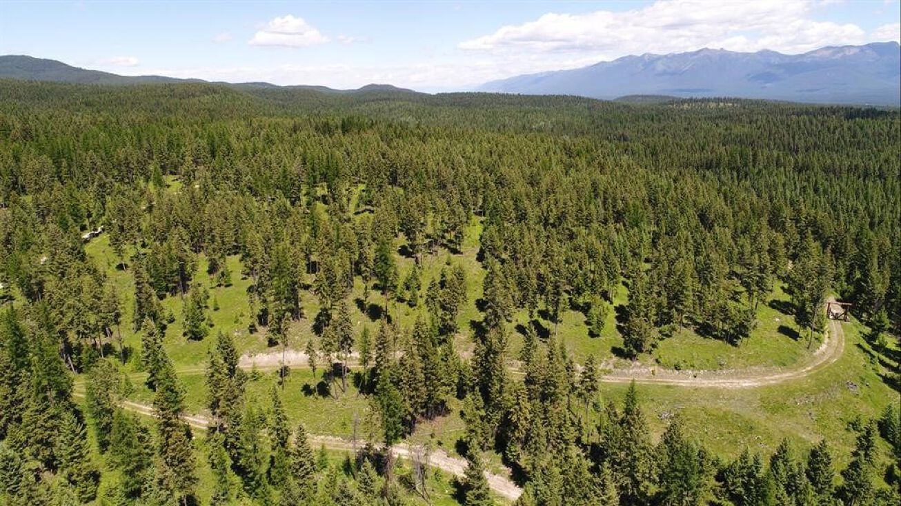 Lot 1B Meadow Springs, Fortine, MT 59918