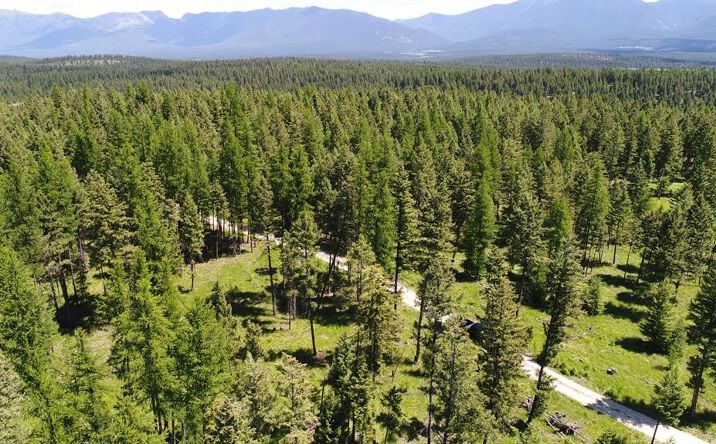 Pictures of Land property located at Lot 2 Meadow Springs Subdivision, Fortine, MT 59918 for sales - image #1