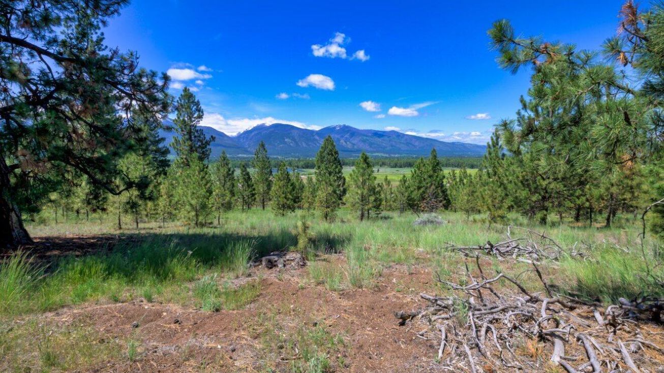 Lot 18 Porter Hill Road, Stevensville, MT 59870 | Crexi.com