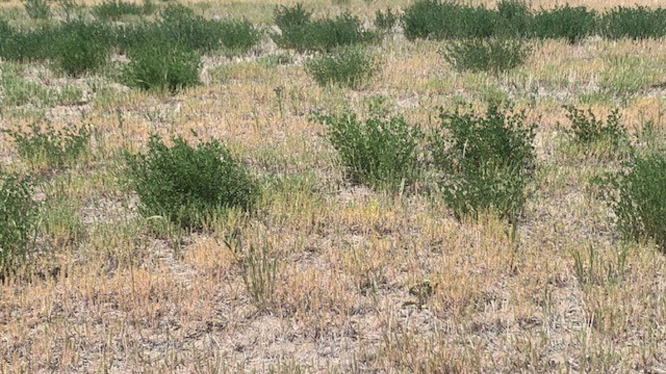 Unk W Ulm Road, Ulm, MT 59485