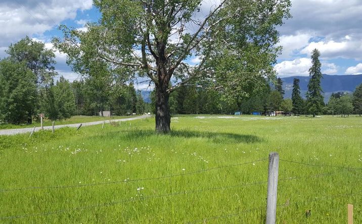 Pictures of Land property located at Lot 2 Brimstone Creek Road, Trego, MT 59934 for sales - image #1