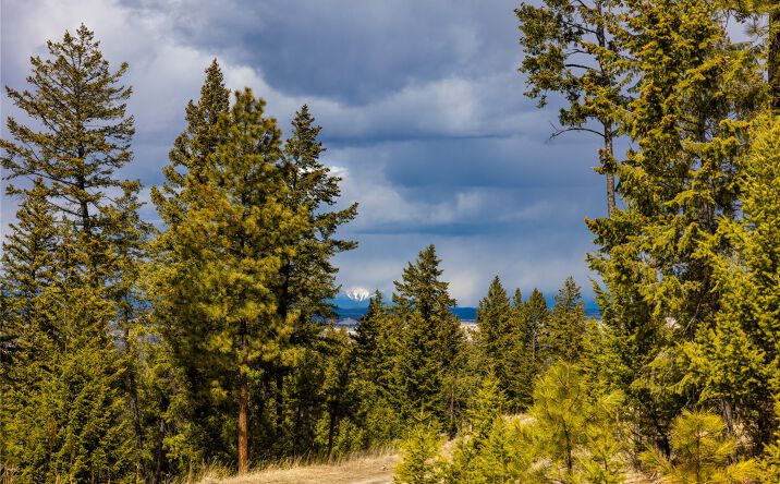 Pictures of Land property located at 1243 Tobacco Valley View Road, Eureka, MT 59917 for sales - image #1